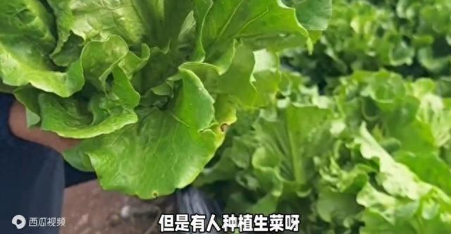 梅钰淇